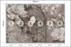 Muralo Selbstklebende Fototapete BLUMEN Ornamente Produktbild-Vorschau 2