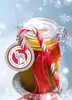 Herma Weihn. Geschenkanhänger Xmas Produktbild-Vorschau 3