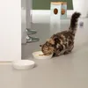 Ciotola per gattini Beeztees Ciotola per gatti Zina Anteprima dell’immagine prodotto 6