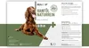 REAVET Hanfsamenöl 1L kaltgepresst für Hunde, Katzen & Produktbild-Vorschau 10