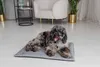 Hundebett für Katzen, Hundematte, Welsti grau M 70x50 Produktbild-Vorschau 2