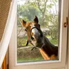 GKA Fenstergucker Fensterbild lustiges und neugieriges Produktbild-Vorschau 4