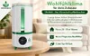 WOHLGRÜN TAU360 Luftbefeuchter im Wohnraum für Pflanzen und angenehme Luftfeuchtigkeit Produktbild-Vorschau