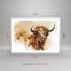 Gerahmtes Poster - Weißer Rahmen - Stier Scotch Aquarell - Produktbild-Vorschau 5