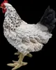 Dekofigur Henne Huhn Eva lebensechte Gartenfigur Tierfigur Produktbild-Vorschau 4