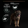 Purina Pro Plan Large Adult Robust, cibo secco per cani di Anteprima dell’immagine prodotto 6