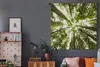 MuchoWow® Wandteppich Wandbehang Hohe grüne Bäume im Produktbild-Vorschau 5