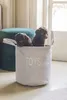 Beeztees Puppy Spielzeugkorb Suus Hund Grau 30x30x30 cm Produktbild-Vorschau 5