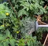 Zinkgießkanne 10 l silber Stahlblech verzinkt Garten Produktbild-Vorschau 7