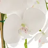 Bílá umělá orchidej kaskádovitá kytice v bílém květináči H Náhled obrázku produktu 5