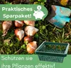 12er Set Pflanzkörbe für Blumenzwiebeln Pflanzschalen Produktbild-Vorschau 6