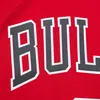 Swingman Mesh Jersey Chicago Bulls 1997, Ron Harper - Maat Productafbeelding-voorbeeld 4