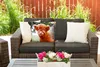 MuchoWow® Outdoor Kissen - Scottish Hochlandrind - Kalb - Produktbild-Vorschau 5