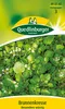 Quedlinburger Saatgut - Brunnenkresse - Samen - 492742 Produktbild-Vorschau 4