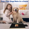 Krallenschleifer für Hunde mit Snack-Box Kratzbrett Hund Produktbild-Vorschau 3
