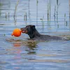 Beeztees Apportino Ball - Hundespielzeug - orange - Produktbild-Vorschau 4