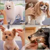 Set de ciseaux Ciseaux pour chiens à bouts ronds Peigne Set Voir les images du produit 10