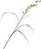 Kunstblume von Silk-ka – Seidenblumen-Graszweig, grün, 108 Produktbild-Vorschau 1