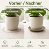 Pflanztopfuntersetzer Mira Taupe Ø 44cm - Frostsicher & Produktbild-Vorschau 6
