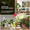 VENSO LED Pflanzenlampe Vollspektrum CANNA SUNLiTE, 30W Produktbild-Vorschau 4