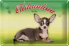 Blechschild Hund 30x20cm Chihuahua Mexiko Wanddeko Produktbild-Vorschau 2