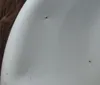 A close-up view of a white pot with two small dark spots on its surface. Produktbild-Vorschau