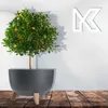Plastový květináč KADAX "Luri", květináč se třemi zásuvnými Náhled obrázku produktu 8