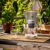 A water filter pitcher and a glass of water are placed on a wooden table outdoors, with lush green foliage in the background. Produktbild-Vorschau
