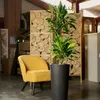 Pflanztopf Tuit Raw Ø 33 cm anthrazit Produktbild-Vorschau 3
