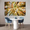 MuchoWow® Poster Wald - Bäume - Herbst 180x120 cm - Produktbild-Vorschau 4