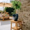 A potted plant sits on a wooden stand next to a stone wall, with people relaxing under an umbrella in the background. Produktbild-Vorschau