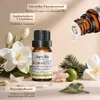Sada esenciálních olejů, 6 x 10 ml esenciálních olejů, Náhled obrázku produktu 7