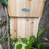 Nichoir pour chauves souris Voir les images du produit 4