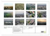 Über den Dächern von Leipzig (Wandkalender 2027 DIN A2 Produktbild-Vorschau 2