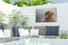 Gartenposter - 60x40 cm - Berberaffe Porträt  - Modernes Produktbild-Vorschau 5