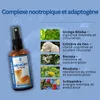 Spray Mémoire & Focus | Lions Mane, Bacopa, Ginkgo Biloba, Voir les images du produit 4