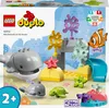 LEGO 10972 DUPLO Divoká zvířata oceánu Náhled obrázku produktu 2