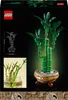 LEGO Botanicals Glücks-Bambus, Kunstpflanze, Bauset für Produktbild-Vorschau 8