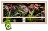 Repiterra® Terrarium Seitenbelüftung Holzterrarium OSB Holz Produktbild-Vorschau 1