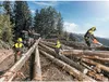 KÜBLER FOREST Schnittschutzhose PSA 3 - Normalgröße Produktbild-Vorschau 5