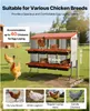 SucceBuy 2-poziomowe gniazdo dla niosek 1060x525x990 mm, 8 Podgląd zdjęcia produktu 2