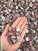 Aquarium Steine Cherry Naturstein 5 kg, 1-4 cm, ca. 700-800 Produktbild-Vorschau 4