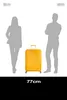 American Tourister trolley Soundbox Spinner 77 / 28 TSA EXP Vista previa de la imagen del producto 17