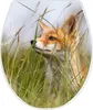 A close-up of a fox's face peeking through tall grass. Produktbild-Vorschau