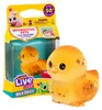 Moose Toys 630996266533, Junge/Mädchen, 5 Jahr(e) Produktbild-Vorschau 22