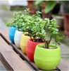 Lot de 7 pots de fleurs avec drainage 0,55 L pour cactus, Voir les images du produit 3