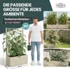 XL Spalier 'Ethica' mit Pflanzkübel Breit 80x36x140 cm - Produktbild-Vorschau 6