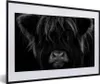 MuchoWow® Gerahmtes Poster Schottischer Highlander - Kuh - Produktbild-Vorschau 1