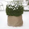 Jute-Stoff (1,8 x 5,5 m) | Anzucht & Gartenzubehör von Produktbild-Vorschau 2
