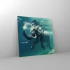 Bilder auf glas - Elefant Tier Wasser - 50x50cm - Produktbild-Vorschau 4